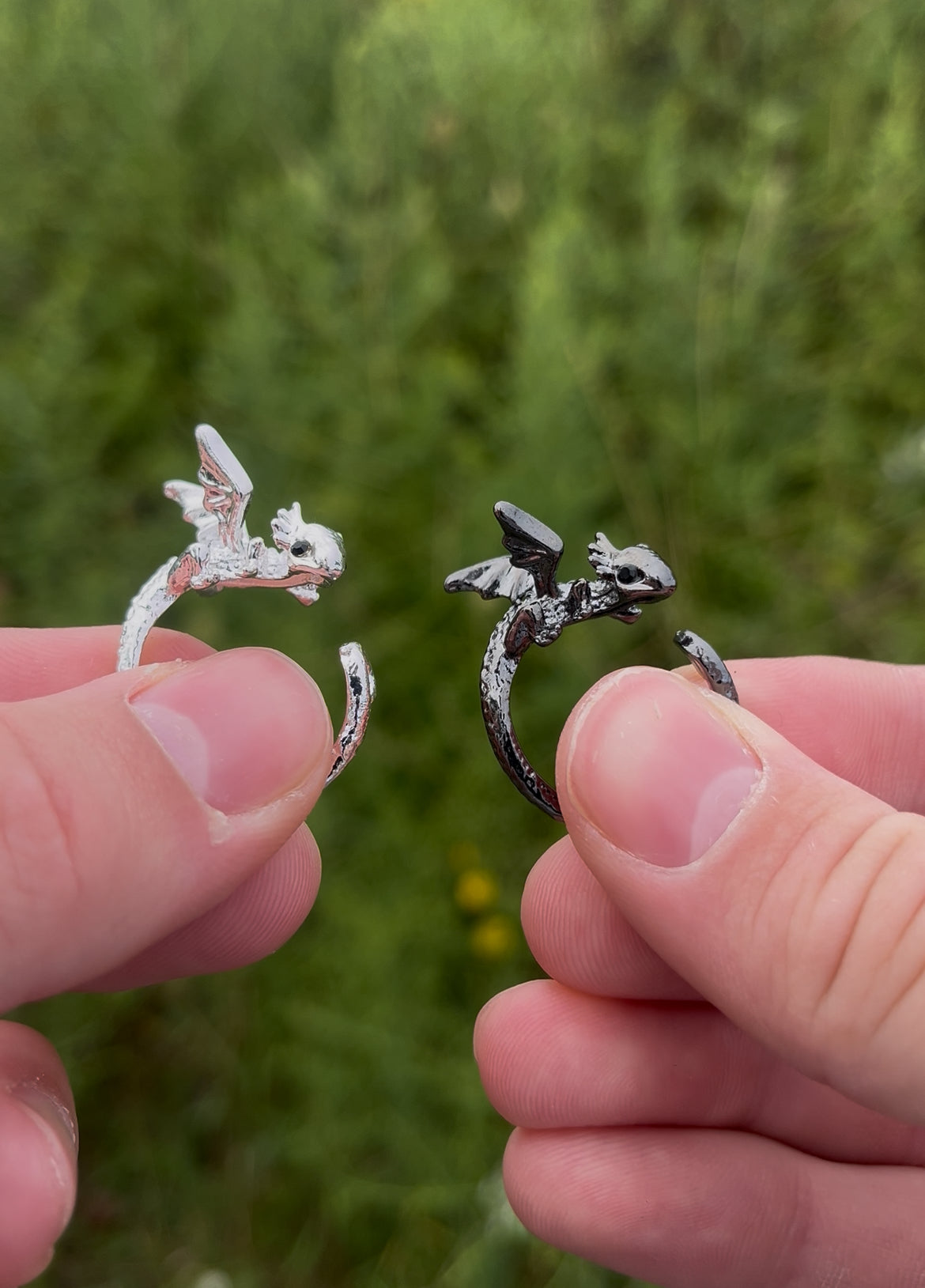 Httyd rings