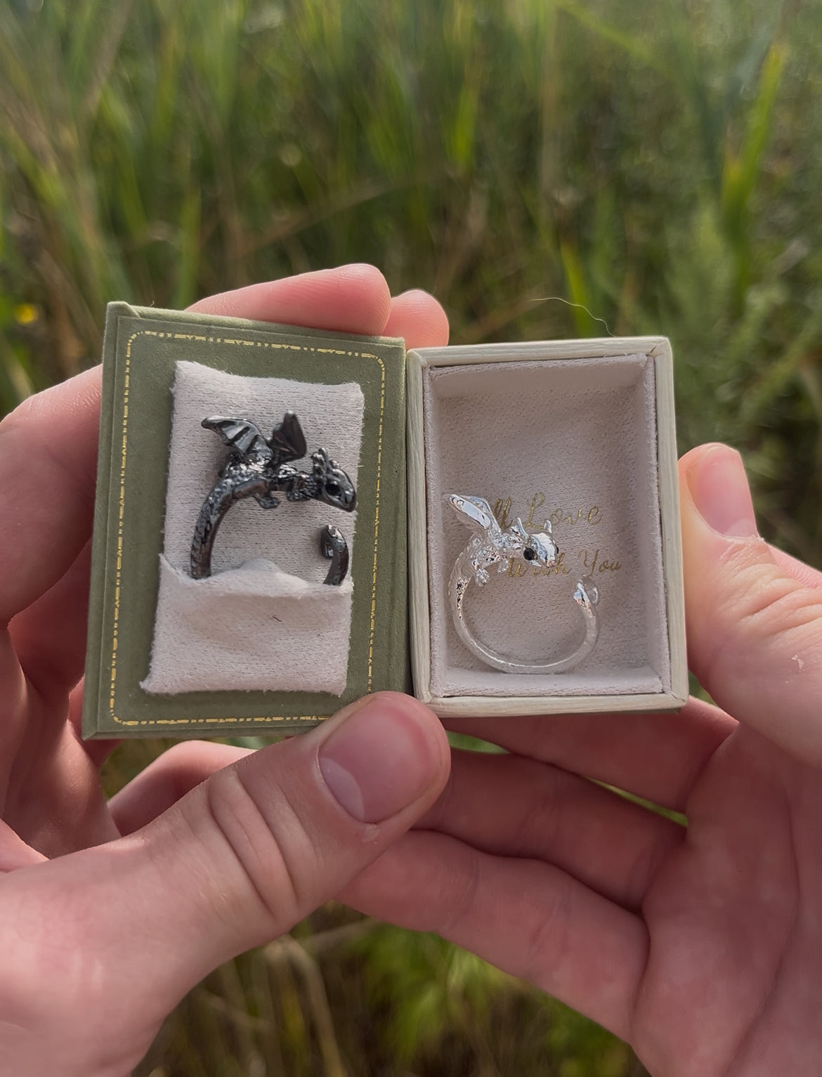 Httyd rings